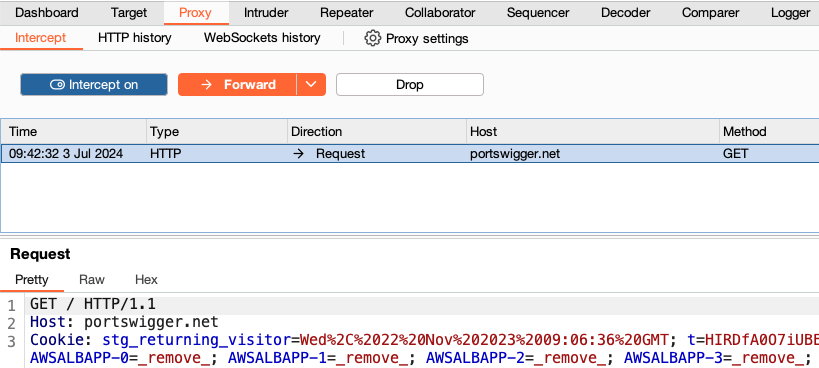 Viewing an intercepted request in Burp Proxy