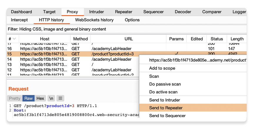 Sending a request to Burp Repeater